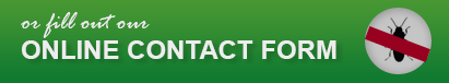 onlinebtnpest.png